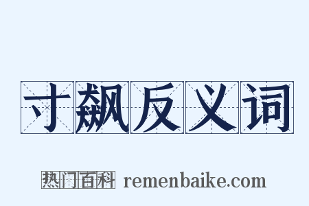 寸飙反义词是什么意思的图片